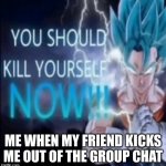 Vegito | ME WHEN MY FRIEND KICKS ME OUT OF THE GROUP CHAT | image tagged in vegito kys,meme | made w/ Imgflip meme maker