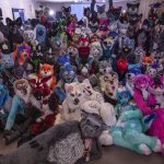 Furry fandom