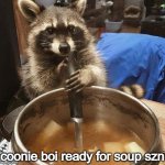 soup szn for raccoon | coonie boi ready for soup szn | image tagged in cooking raccoon | made w/ Imgflip meme maker