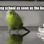 Real | Me leaving school as soon as the bell rings | image tagged in gifs,school,kill me | made w/ Imgflip video-to-gif maker