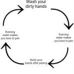 the circle of life | Wash your dirty hands; Running water makes you have to pee; Running water makes you have to pee; Wash your hands after peeing | image tagged in the circle of life | made w/ Imgflip meme maker