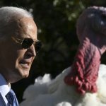 Joe Turkey