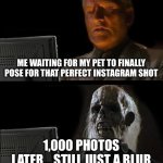 I'll Just Wait Here | ME WAITING FOR MY PET TO FINALLY POSE FOR THAT PERFECT INSTAGRAM SHOT; 1,000 PHOTOS LATER... STILL JUST A BLUR | image tagged in memes,i'll just wait here | made w/ Imgflip meme maker