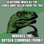 raptor asking questions | IN AUTUMN, WHEN ALL THE LEAVES HAVE FALLEN FROM THE TREE; WHERES THE OXYGEN COMMING FROM? | image tagged in raptor asking questions | made w/ Imgflip meme maker