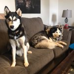 Mila and Sezja couch