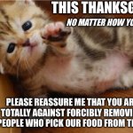 Thanksgiving peace help me kitten | THIS THANKSGIVING; NO MATTER HOW YOU VOTED; PLEASE REASSURE ME THAT YOU ARE TOTALLY AGAINST FORCIBLY REMOVING THE PEOPLE WHO PICK OUR FOOD FROM THE USA? | image tagged in help me kitten | made w/ Imgflip meme maker