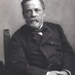 Louis Pasteur template