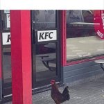 Kfc brave chicken