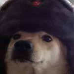 Russian dog template