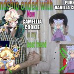 I STILL LOVE YOU PURE VANILLA BUT CAMELLIA- | PURE VANILLA COOKIE; CAMELLIA COOKIE | image tagged in friendship ended with no salman no mudasir | made w/ Imgflip meme maker