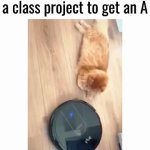 Choose wisely | Picking the smart kid for 
a class project to get an A | image tagged in gifs,class project,choose,smart | made w/ Imgflip video-to-gif maker