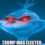 Blue Grinch | TRUMP WAS ELECTED | image tagged in blue grinch | made w/ Imgflip meme maker