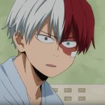 Shoto Todoroki MHA