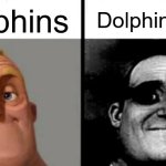 Those who know ? | Dolphins; Dolphin facts | image tagged in people who don't know vs people who know,dolphin,facts,those who know,dolphins,creepy | made w/ Imgflip meme maker