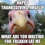 THANKSGIVING!!! | HAPPY THANKSGIVING, IMGFLIP; WHAT ARE YOU WAITING FOR, FREAKIN EAT ME | image tagged in turkey,thanksgiving | made w/ Imgflip meme maker