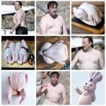 Elon Musk poultry gallery template