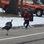 Turkey Chase