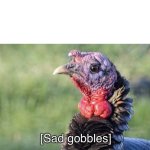 Sad gobbles