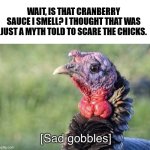 ?? Happy Thanksgiving day! ? | WAIT, IS THAT CRANBERRY SAUCE I SMELL? I THOUGHT THAT WAS JUST A MYTH TOLD TO SCARE THE CHICKS. | image tagged in sad gobbles | made w/ Imgflip meme maker