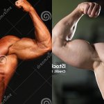 timo vs berger