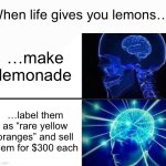 Lemons. | When life gives you lemons…; …make lemonade; …label them as “rare yellow oranges” and sell them for $300 each | image tagged in expanding brain two frames,memes,funny,smort,expanding brain | made w/ Imgflip meme maker