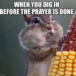 Thanksgiving Squirrel | WHEN YOU DIG IN BEFORE THE PRAYER IS DONE | image tagged in thanksgiving squirrel | made w/ Imgflip meme maker