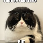 Grumpy Dude | I GOT 99 PROBLEMS; BUT 
MY.MOODS.AIN'T.ONE | image tagged in grumpy dude | made w/ Imgflip meme maker