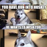 laughing huskey | PLEASE STOP SCROLLING; YOU HAVE RUN INTO HUSKEY; HE WANTS TO WISH YOU; A MILKSHAKE AND A HAPPY THANKSGIVING! | image tagged in huskey dog laugh,thanksgiving,milkshake | made w/ Imgflip meme maker