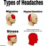 I’m now on roof level 3 | When the zombie in plz kills all your plants and there is no lawn mower | image tagged in types of headaches meme | made w/ Imgflip meme maker