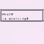 What? Is evolving?