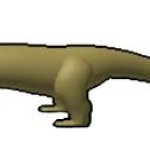 Komodo Dragon Block Tales.