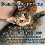 Undying adoration kitten loves trans people | Dear trans person; You make the world a better place; Thank you for inspiring all of us to be a little braver about living in the world however we please, in defiance of stereotypes. | image tagged in undying adoration kitten | made w/ Imgflip meme maker