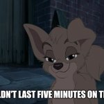 You Wouldn't Last Five Minutes On The Street | YOU WOULDN'T LAST FIVE MINUTES ON THE STREET | image tagged in lady and the tramp 2 angel,alyssa milano,disney dogs,disney,dogs | made w/ Imgflip meme maker