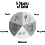 5 stages of grief