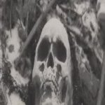 editable GIF Template