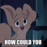 How Could You | HOW COULD YOU | image tagged in lady and the tramp 2 angel,alyssa milano,disney dogs,dogs,disney | made w/ Imgflip meme maker