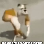 ㅤ | DANCE TIL YOU'RE DEAD | image tagged in gifs,gassy dog,incredible gassy,dance til you're dead | made w/ Imgflip video-to-gif maker