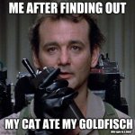 this was true... | ME AFTER FINDING OUT; MY CAT ATE MY GOLDFISCH; (this typo is a joke) | image tagged in ghostbusters | made w/ Imgflip meme maker