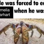 amelia earhart crab