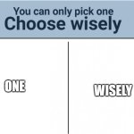 choose. | WISELY; ONE | image tagged in you can pick only one choose wisely | made w/ Imgflip meme maker