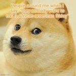 And then I ask: We cool bro? | People around me when I say: "they actually want to call it African-american friday" | image tagged in memes,doge | made w/ Imgflip meme maker