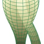 klein bottle meme