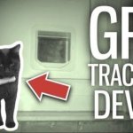 Tracking cat