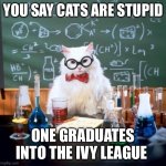 They aren’t that bad after all | YOU SAY CATS ARE STUPID; ONE GRADUATES INTO THE IVY LEAGUE | image tagged in memes,chemistry cat,college,nerd | made w/ Imgflip meme maker