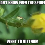 He Remember | DIDN’T KNOW EVEN THE SPIDERS; WENT TO VIETNAM | image tagged in sad,eurasian green crab spider,vietnam,thousand yard stare | made w/ Imgflip meme maker