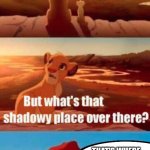 This makes no sense | THE SUN LOOKS LIKE CHEESE. THAT'S WHERE THE EVIL FOXES ARE | image tagged in simba shadowy place,minecraft,eggs,meme man smort,delete,yummy | made w/ Imgflip meme maker