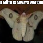 The Möth | THE MÖTH IS ALWAYS WATCHING | image tagged in moth,is,always,watching | made w/ Imgflip meme maker