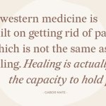 gabor mate quote