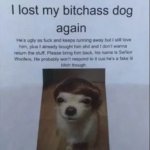 I lost my bitchass dog again