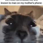 Huh | 8 year old me searching up the most horrendous, vile shit known to man on my mother's phone: | image tagged in gifs,toddler,child,i'm not sane | made w/ Imgflip video-to-gif maker